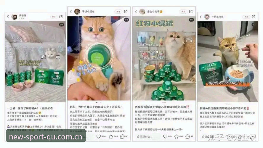 趣体育官网中文版焕新界面，资深用户教你3分钟完成快速访问安装教程